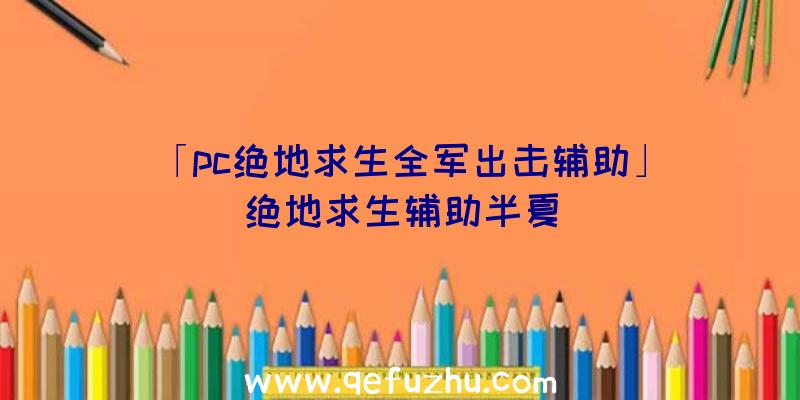 「pc绝地求生全军出击辅助」|绝地求生辅助半夏